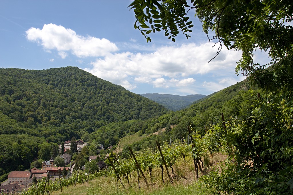 vogezen ardennen belgie frankrijk luxenburg luxembourg france belgique hdr natuur natuurgebied gebergte bergen bos bossen